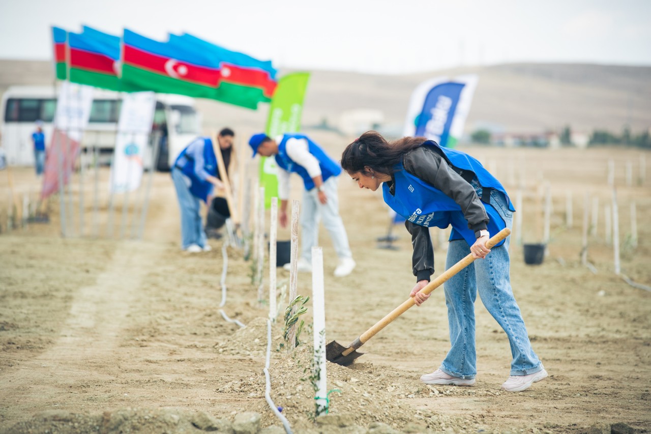 Bank of Baku-dan yaşıl təşəbbüs – növbəti ağacəkmə aksiyası keçirildi